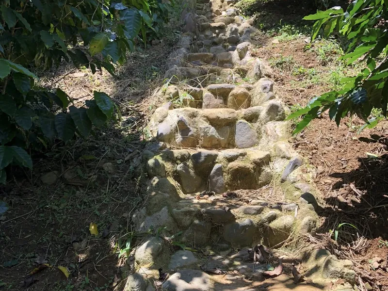 Finca in Venecia, Antioquia, Venecia