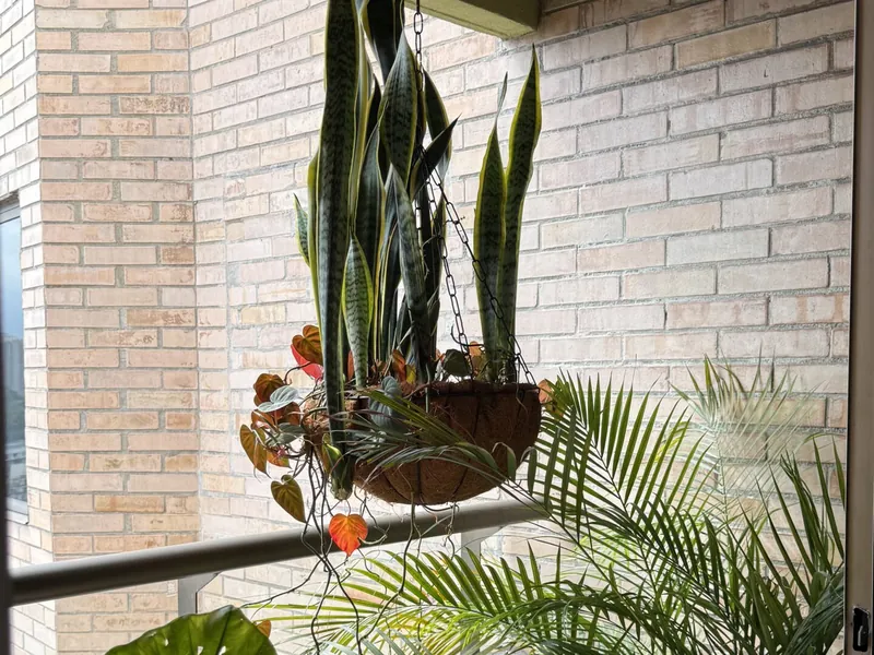 Duplex penthouse, Aves María, Medellín, Sabaneta
